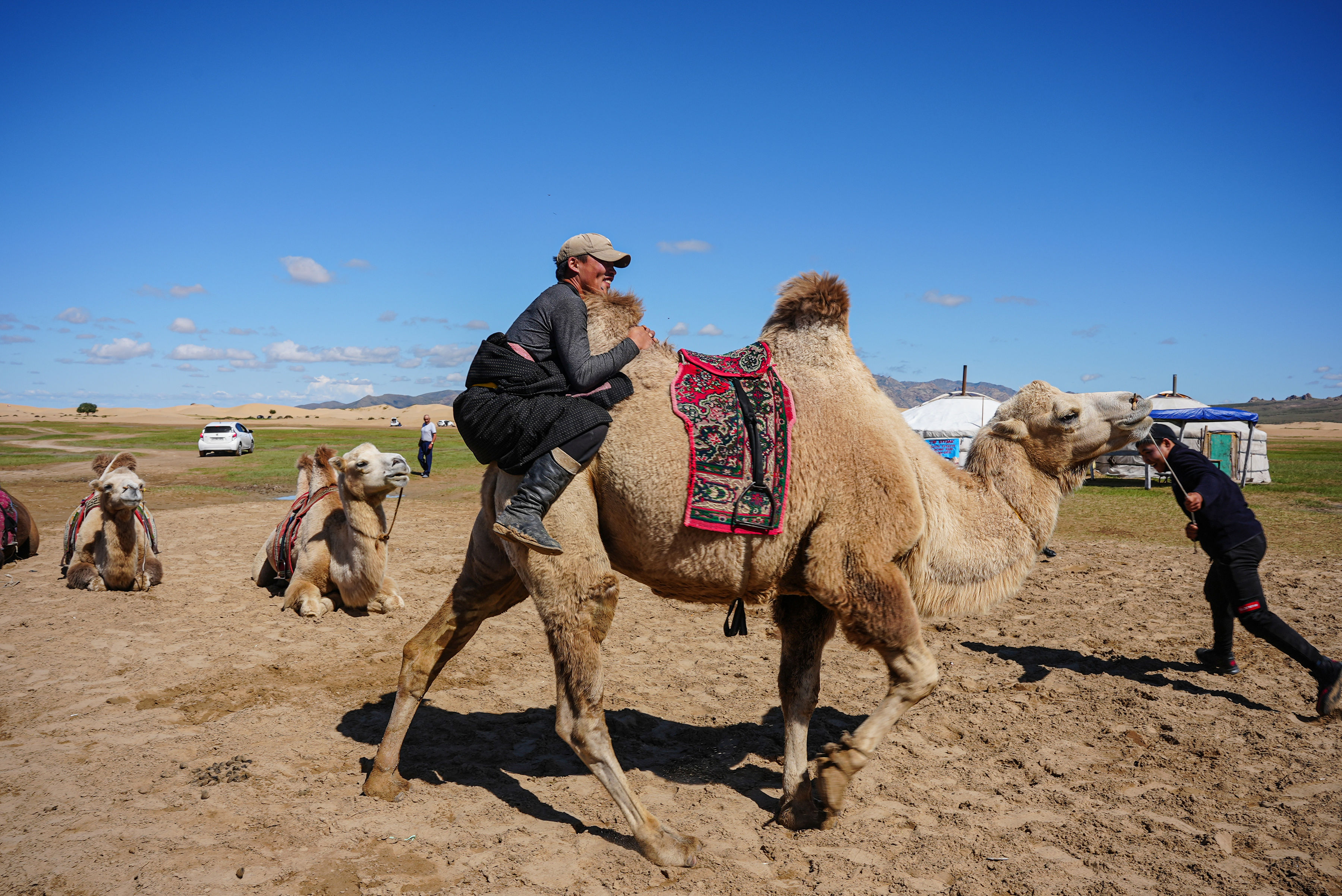 Mongolian boy plays on a camel. 