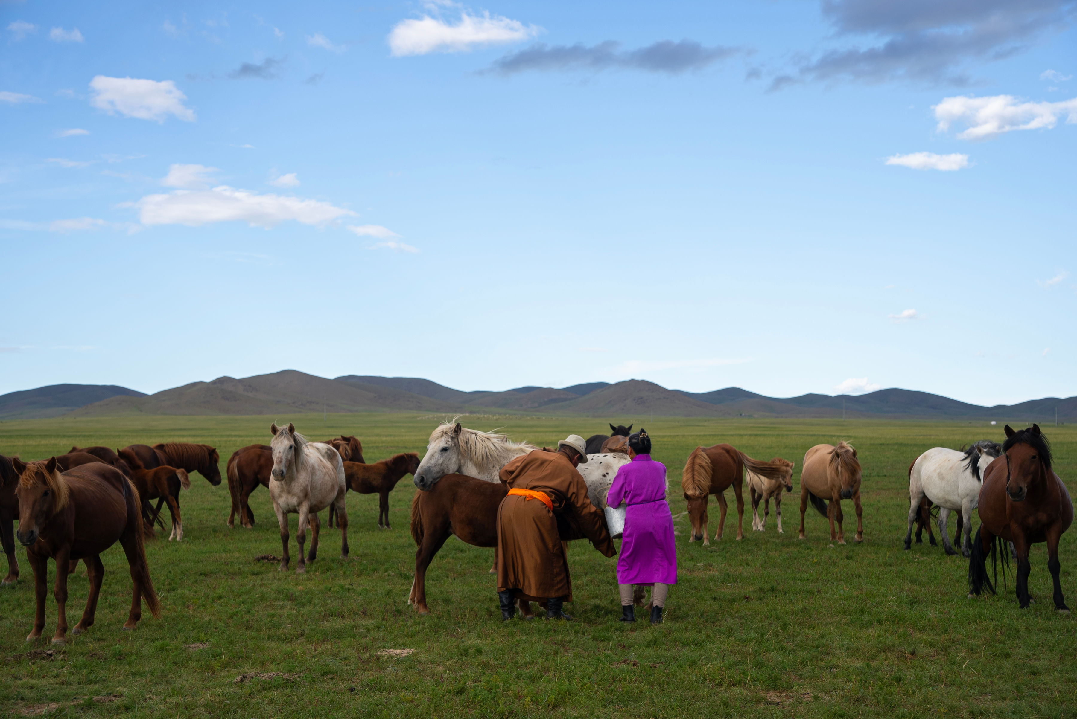 Mongolian herder family. 