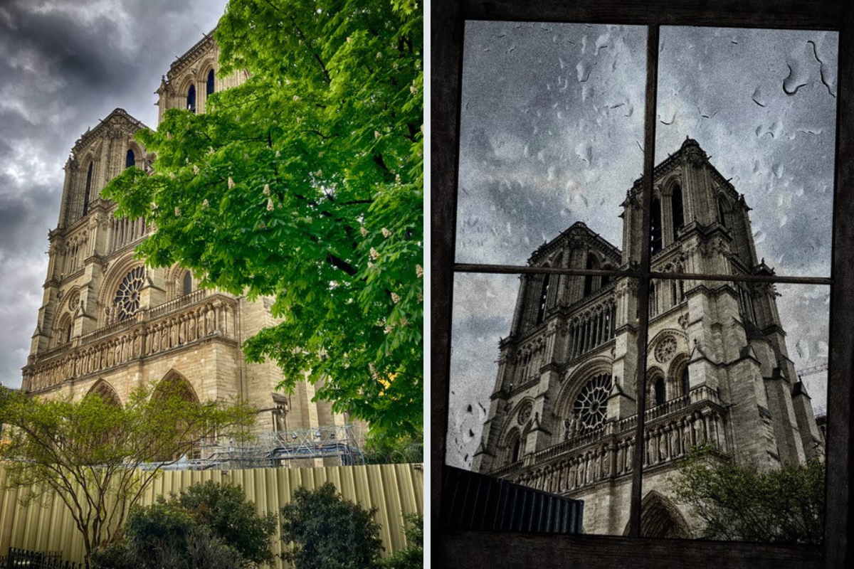 Notre Dame collage 2