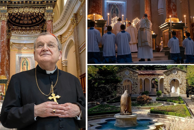 As Founder of the Shrine of Our Lady of Guadalupe, Cardinal Burke continues to serve as President of the Board of Directors of the Shrine of Our Lady of Guadalupe.